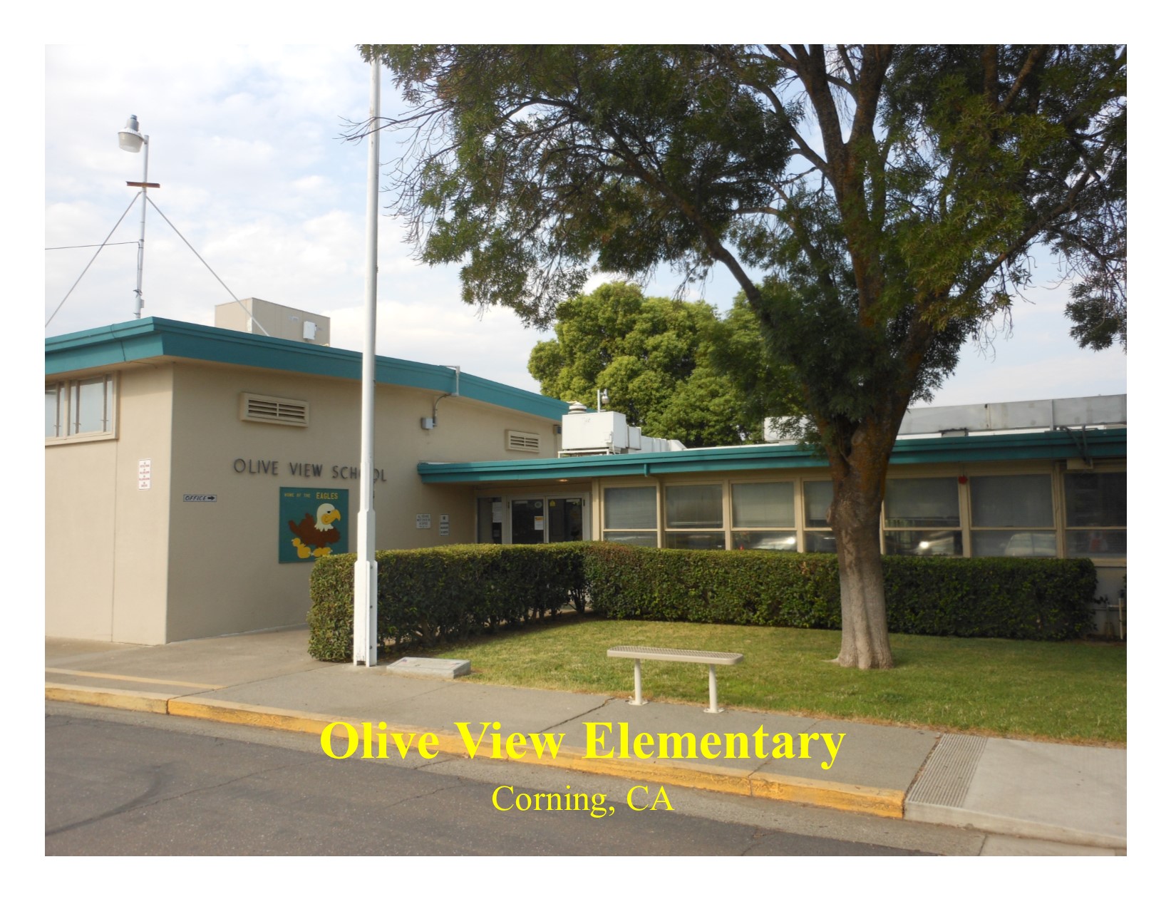front of olive view school